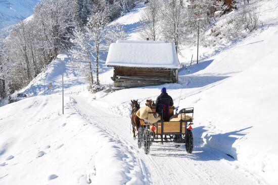 Pferdeschlitten fahren Winterurlaub Salzburger Land Wagrain Moabauer